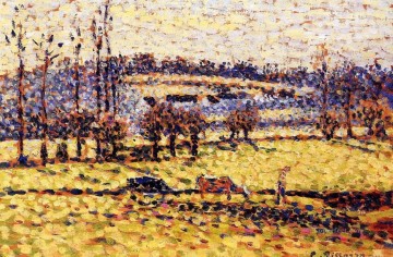  Meadow Art - meadow at bazincourt Camille Pissarro